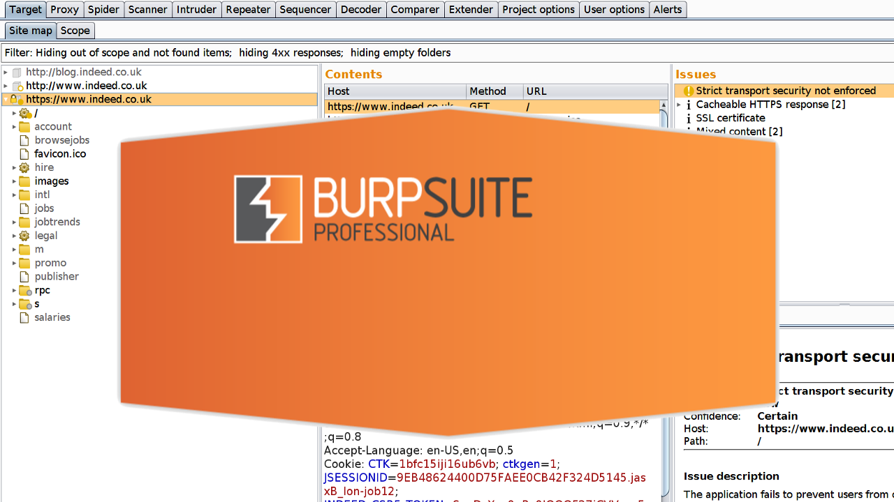 burp suite scan configuration